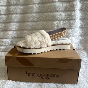 Kookaburra by Ugg